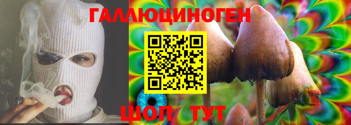 Воткинск  Галлюциногенные грибы мухоморы  Вход с VPN  Галлюциногенные грибы Psilocybe 